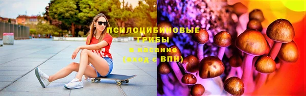 амф Верхний Тагил
