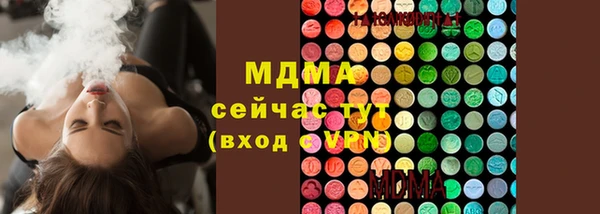 амф Верхний Тагил