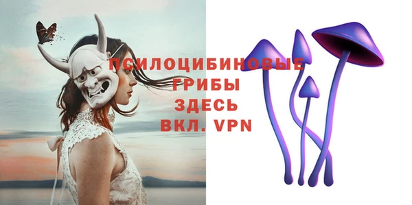 амф Верхний Тагил