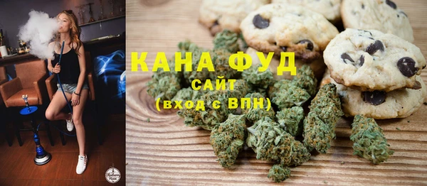 амф Верхний Тагил