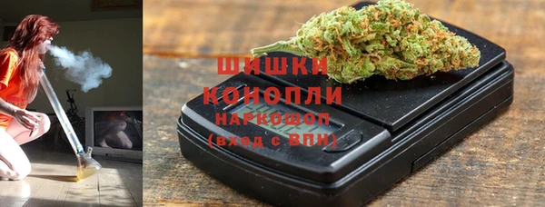 Альфа ПВП Верея