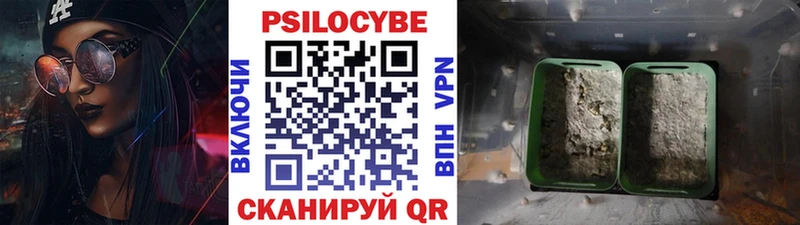 Псилоцибиновые грибы Psilocybine cubensis  Гаджиево 