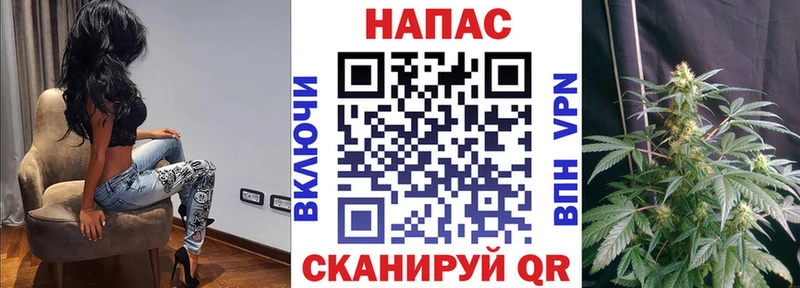 купить  цена  mega онион  Каннабис SATIVA & INDICA  Гаджиево 